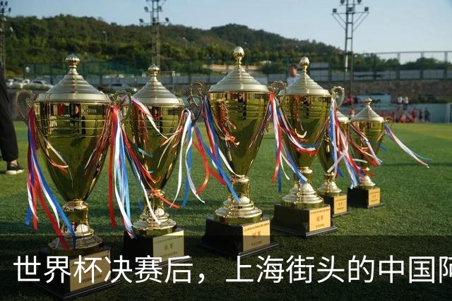 世界杯决赛后，上海街头的中国阿根廷球迷与西班牙人对峙