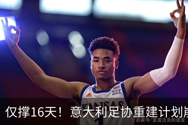 仅撑16天！意大利足协重建计划崩塌：马尔蒂尼与莱昂纳多因皮尔洛任命受阻辞职